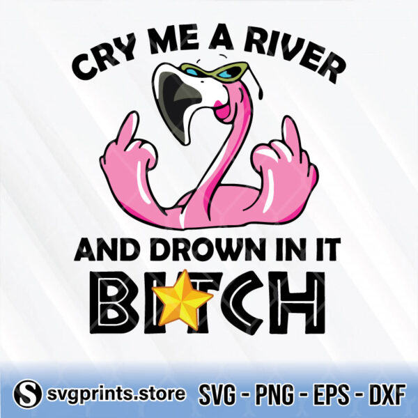 flamingo fucking cry me a river and drown in it bitch svg
